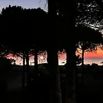 Villa Seaside With Private Yard On Adriatic Coast *