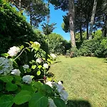 Seaside With Private Yard On Adriatic Coast *
