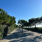 Seaside With Private Yard On Adriatic Coast Villa