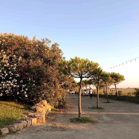 Seaside With Private Yard On Adriatic Coast *
