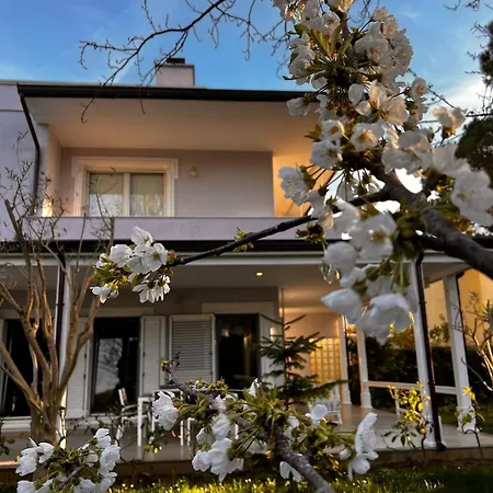 Seaside With Private Yard On Adriatic Coast 빌라 Hamallaj