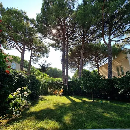 Villa Seaside With Private Yard On Adriatic Coast