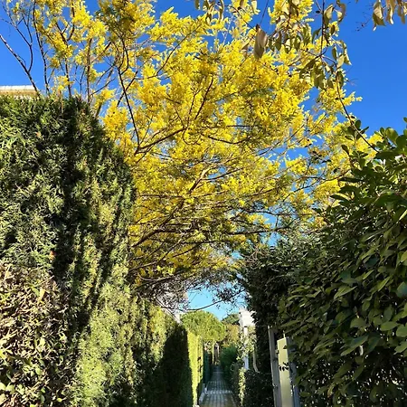 Seaside With Private Yard On Adriatic Coast Villa *