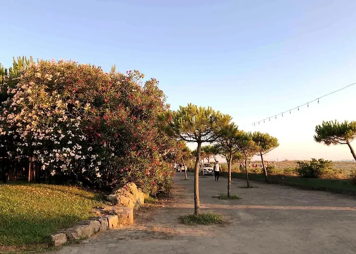 Seaside With Private Yard On Adriatic Coast *