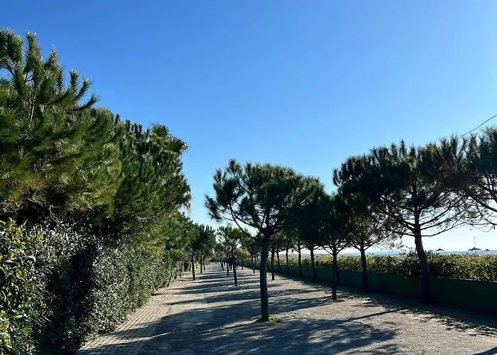 Seaside With Private Yard On Adriatic Coast 빌라