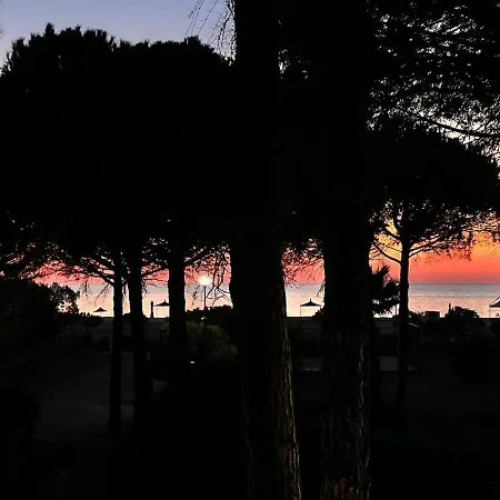 Villa Seaside With Private Yard On Adriatic Coast *