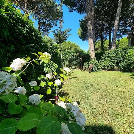 Seaside With Private Yard On Adriatic Coast *