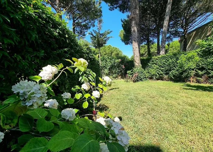 Seaside With Private Yard On Adriatic Coast *